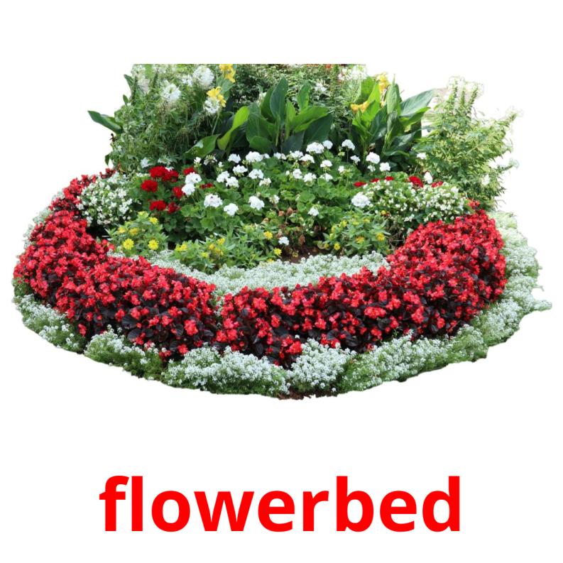 flowerbed picture flashcards