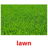 lawn cartes flash