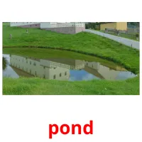 pond cartes flash