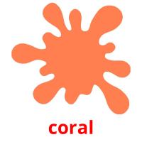 coral picture flashcards