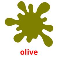 olive picture flashcards