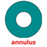 annulus card for translate