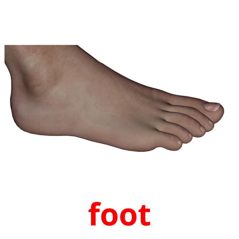 foot picture flashcards