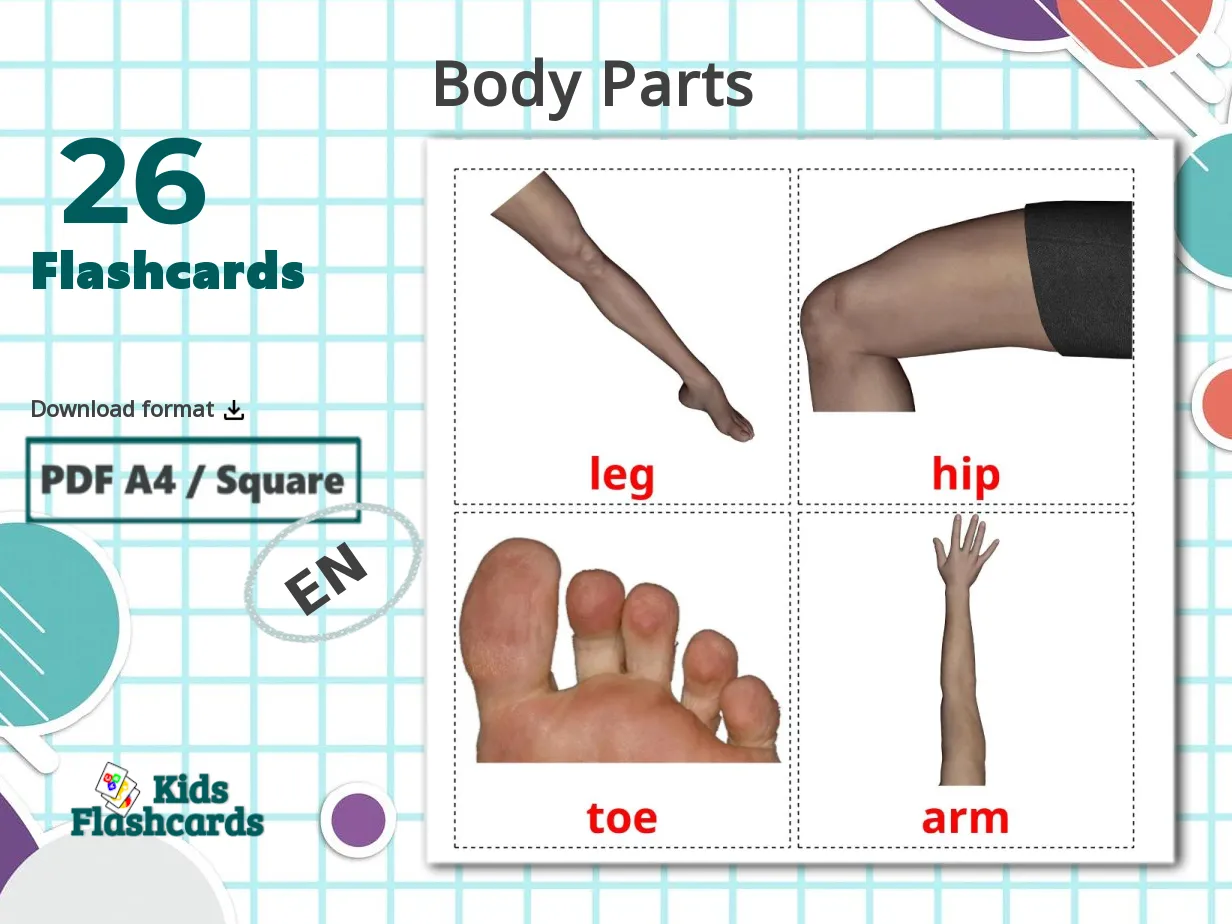 26 Printable Body Parts Flashcards in English (Free PDF)