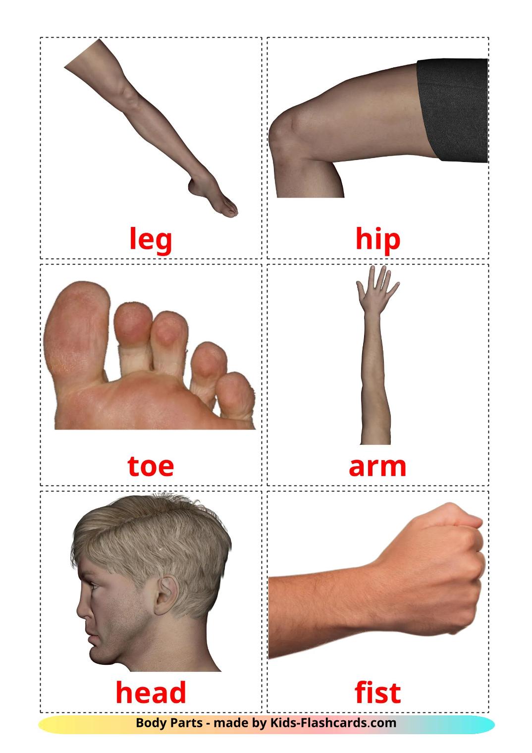 Части тела - 26 Карточек Домана на английском