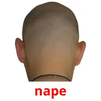 nape карточки энциклопедических знаний