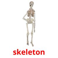 skeleton card for translate