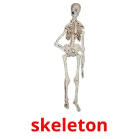 skeleton карточки энциклопедических знаний