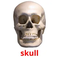 skull карточки энциклопедических знаний