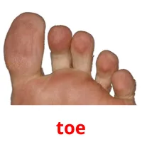 toe карточки энциклопедических знаний