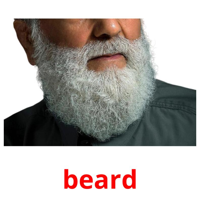beard picture flashcards