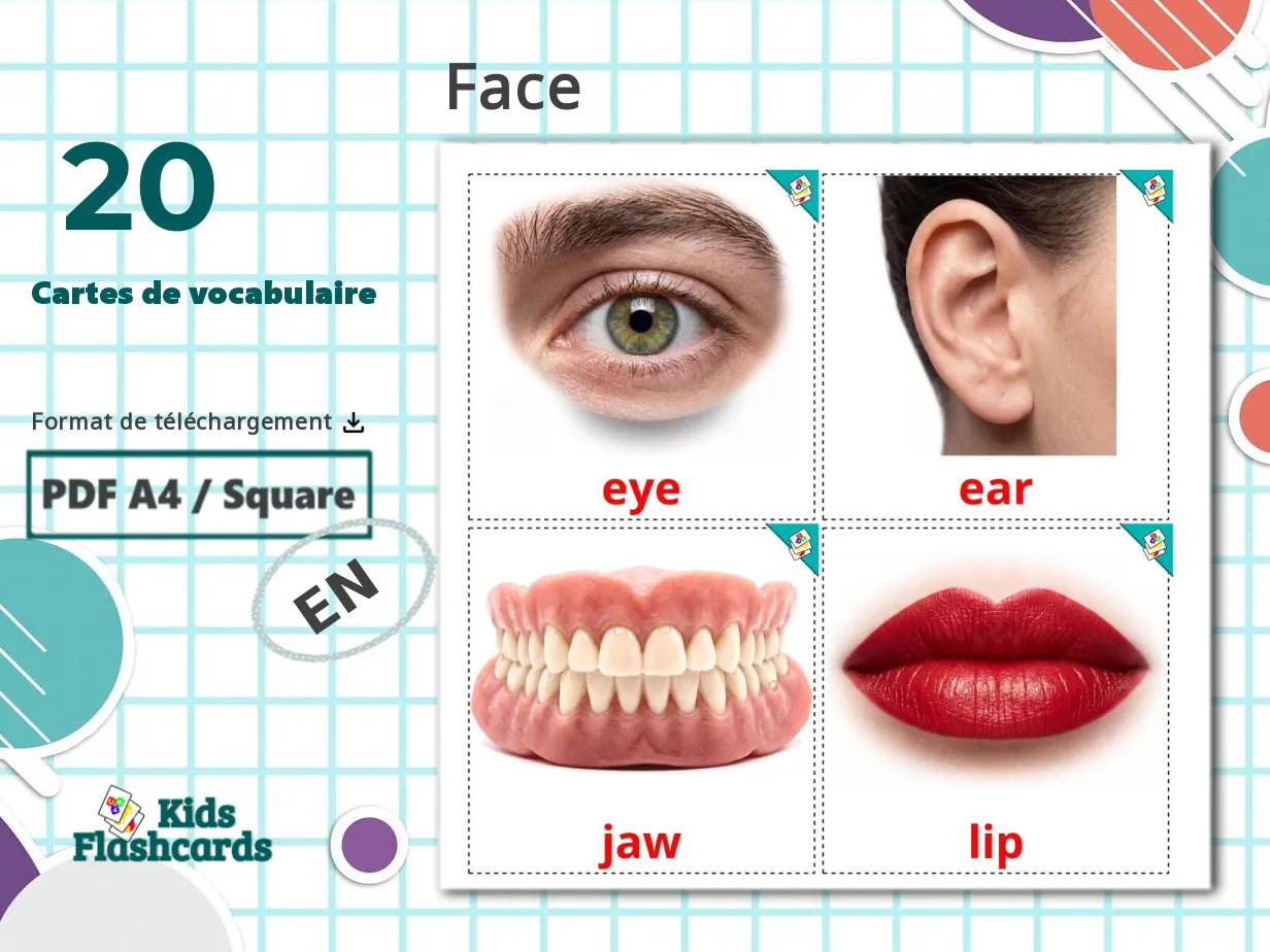 20 Cartes de Vocabulaire pour Enfants GRATUITES Parties du Visage à