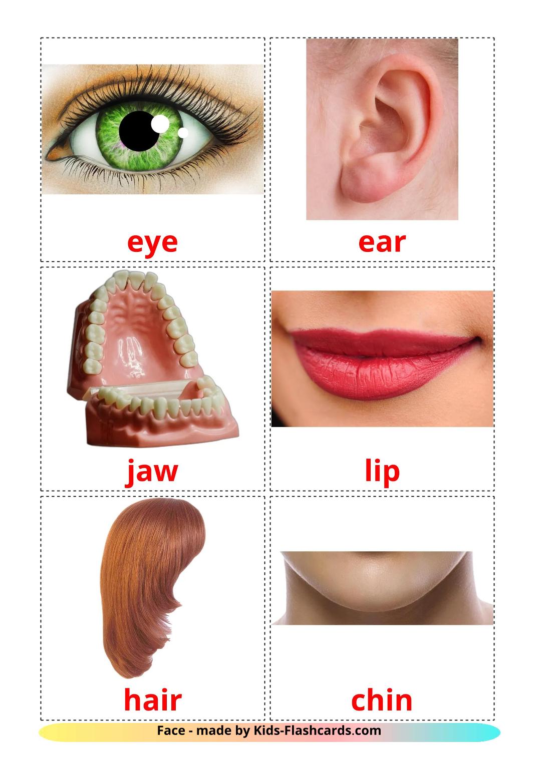 Parties du Visage - 20 Flashcards anglais imprimables gratuitement