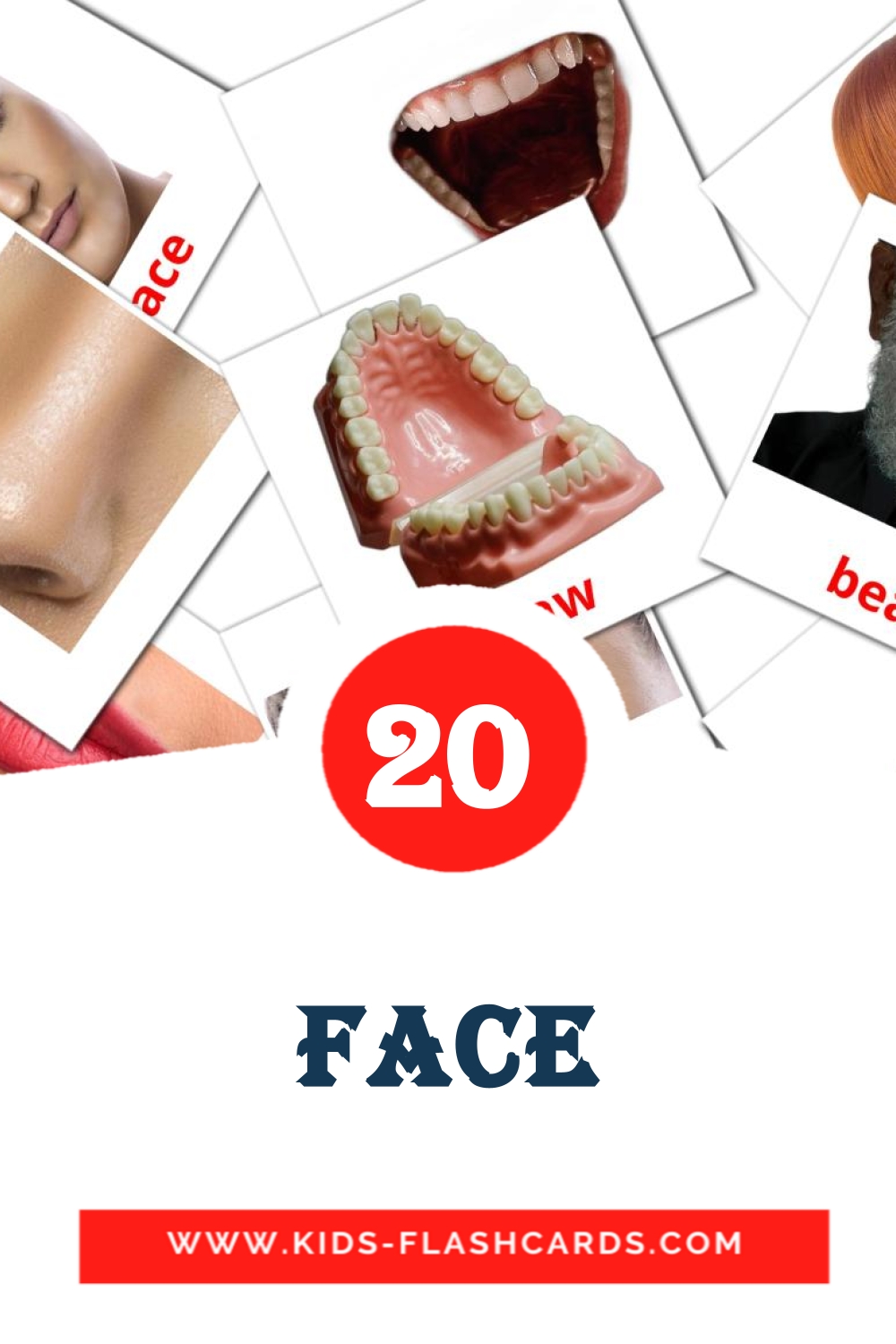 20 Face Picture Cards for Kindergarden in english