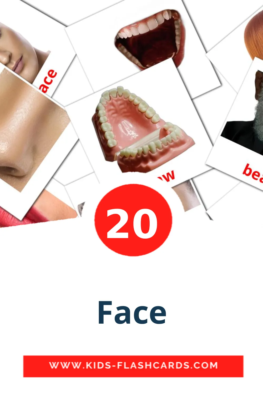 20 Face Picture Cards for Kindergarden in english