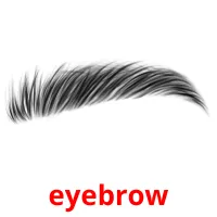 eyebrow picture flashcards