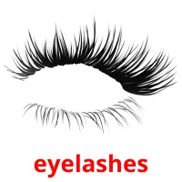 eyelashes picture flashcards