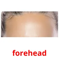 forehead picture flashcards