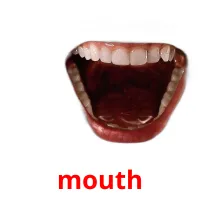 mouth picture flashcards