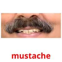 mustache picture flashcards