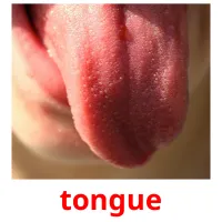 tongue picture flashcards