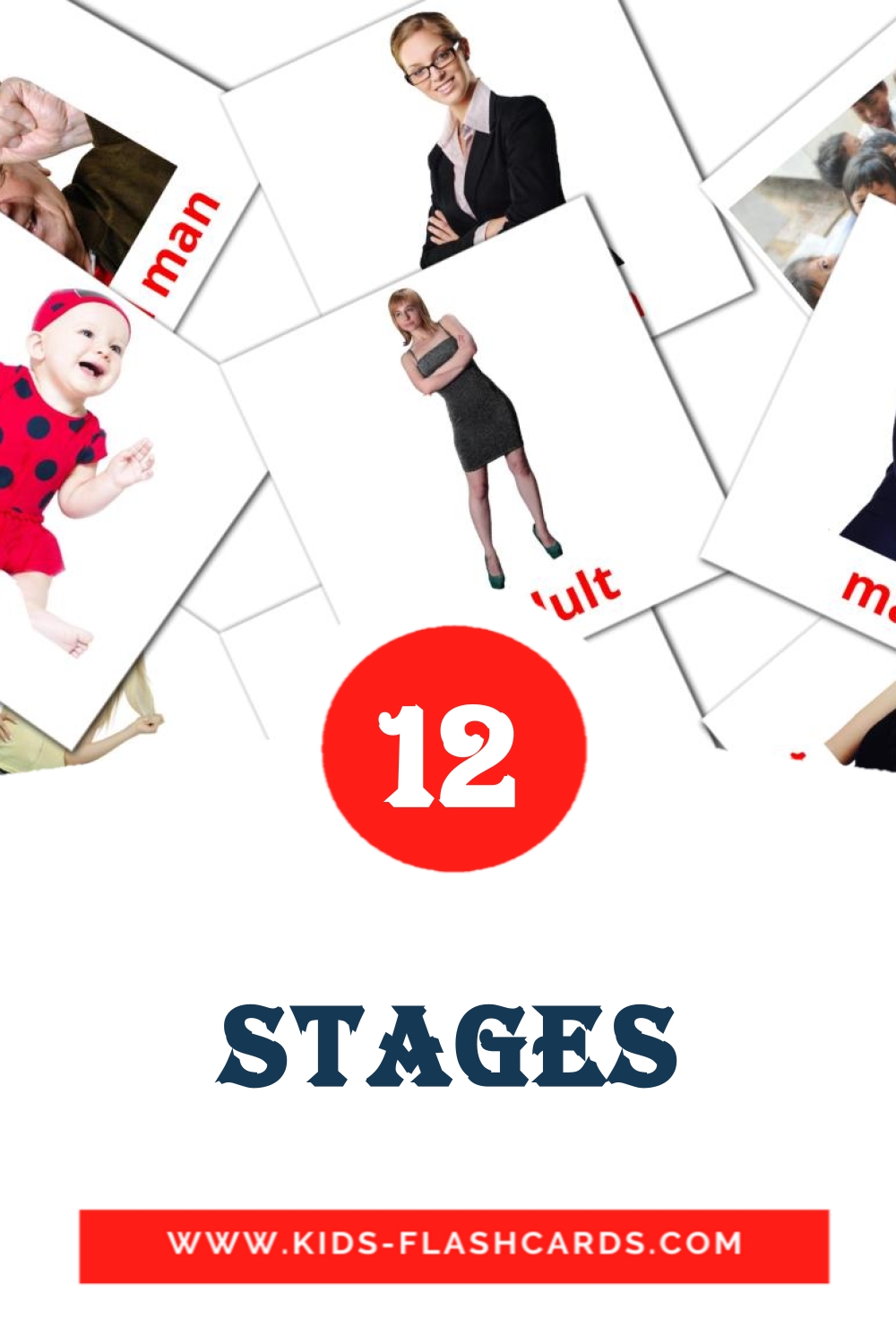 12 Stages Picture Cards for Kindergarden in english