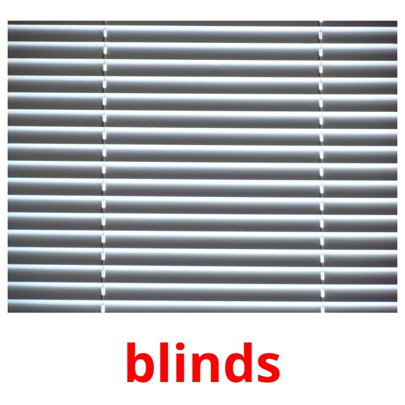 blinds picture flashcards