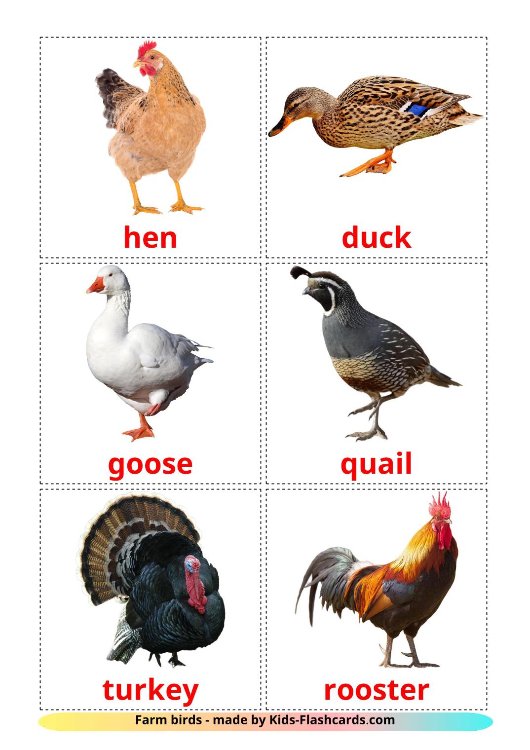 Les Oiseaux de Ferme - 11 Flashcards anglais imprimables gratuitement