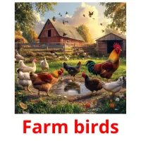 Farm birds Tarjetas didacticas