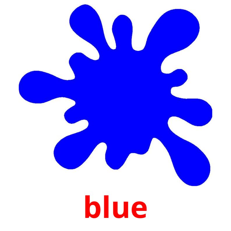blue picture flashcards