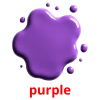 purple карточки энциклопедических знаний