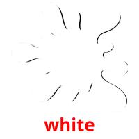 white picture flashcards