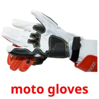 moto gloves Bildkarteikarten