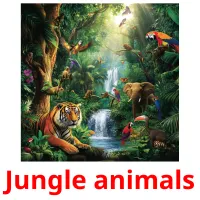 Jungle animals ansichtkaarten