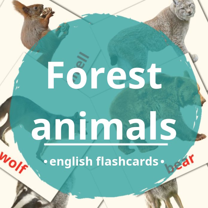 Wild Animals Real Pictures 41 Forest Animals Flash (Instant Download) 