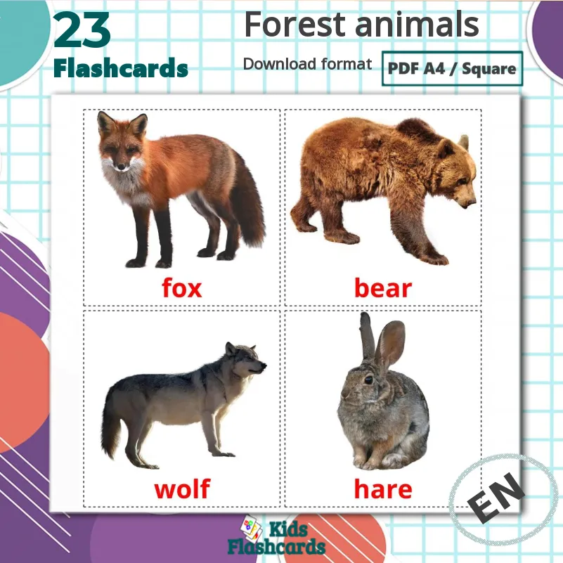 Wild Animals Real Pictures 41 Forest Animals Flash (Instant Download) 