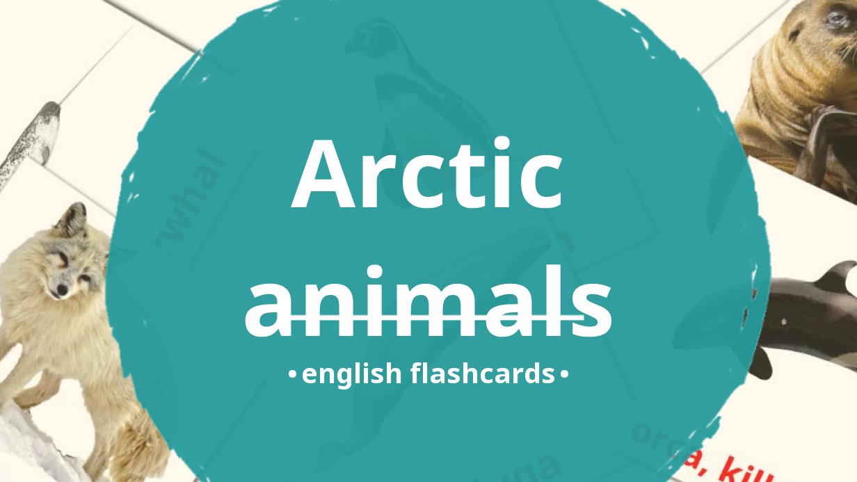 14 FREE Arctic animals Flashcards, PDF