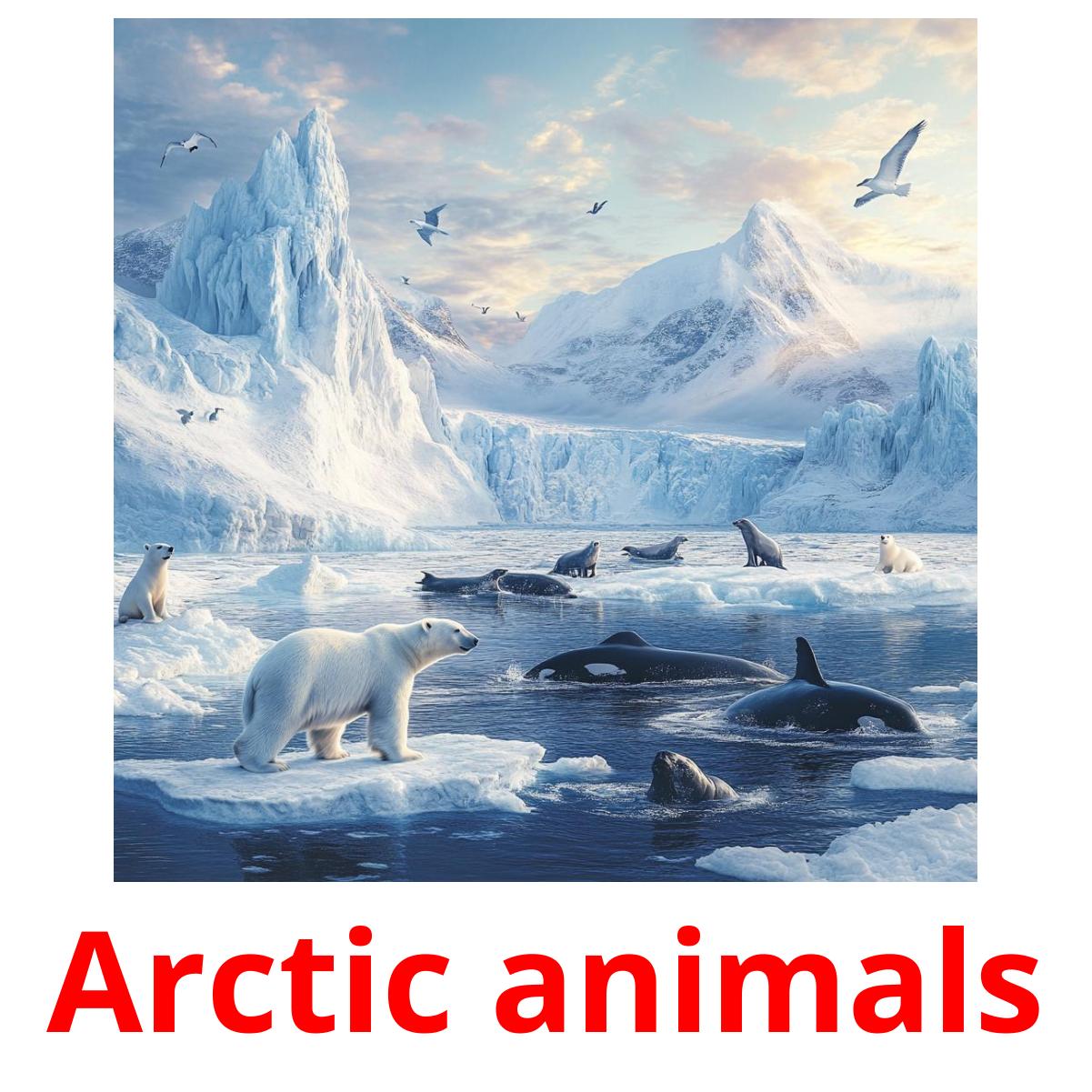 Arctic animals ansichtkaarten