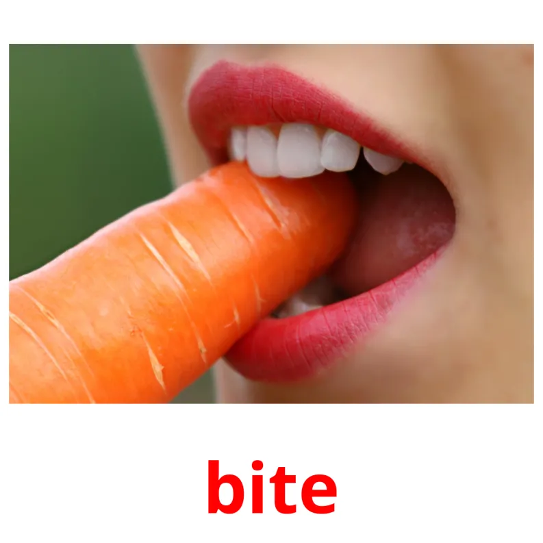 bite flashcards illustrate