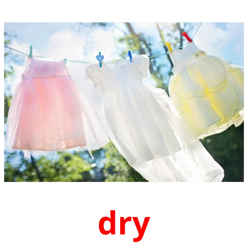 52 FREE Action verbs Flashcards | PDF | English Words