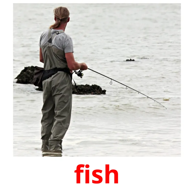 51 FREE Action verbs Flashcards PDF English Words