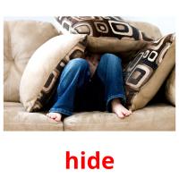 hide picture flashcards