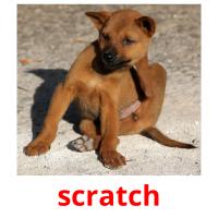 scratch picture flashcards
