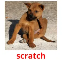 scratch cartões com imagens