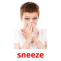 sneeze picture flashcards