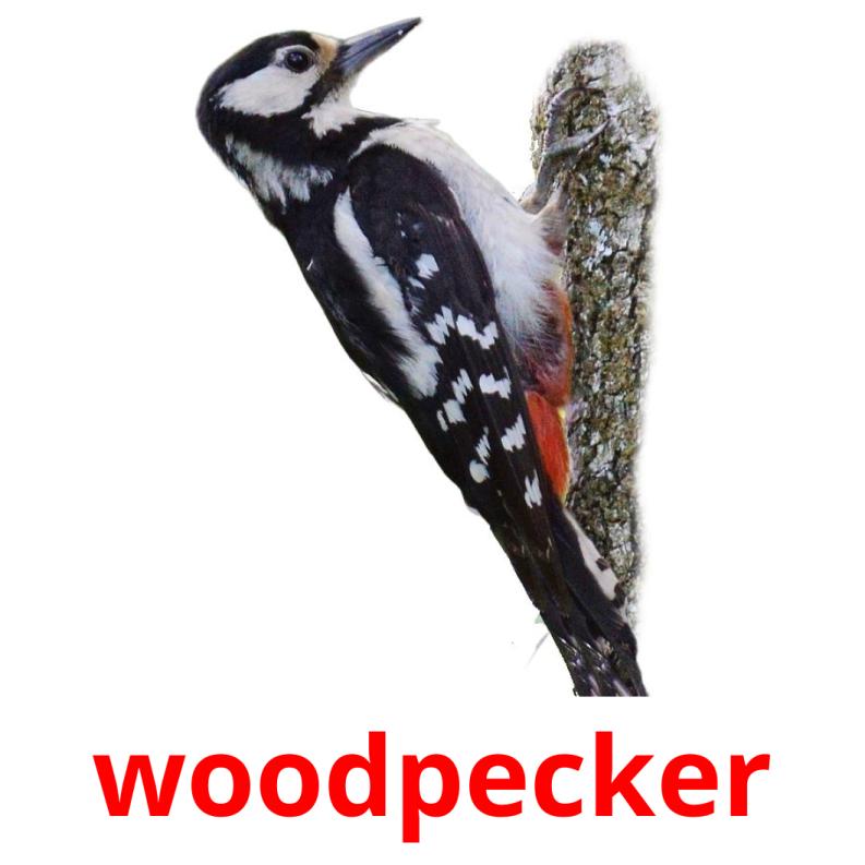 18-free-wild-birds-flashcards-pdf-english-words