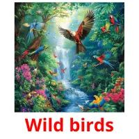 Wild birds Tarjetas didacticas