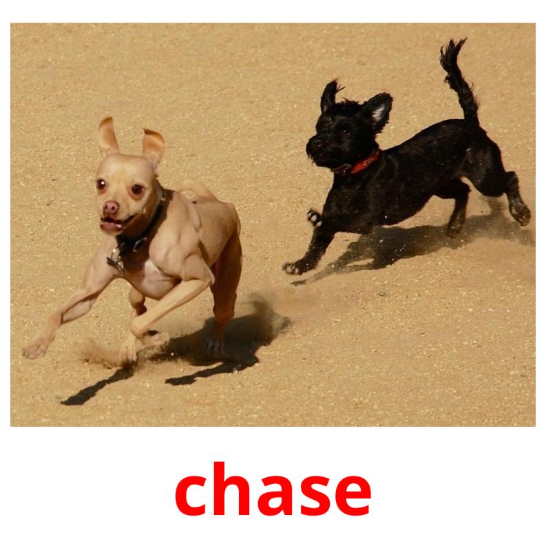 chase picture flashcards