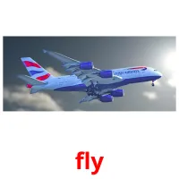 fly cartões com imagens