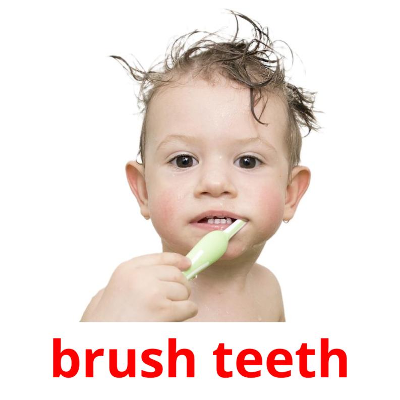 brush teeth picture flashcards